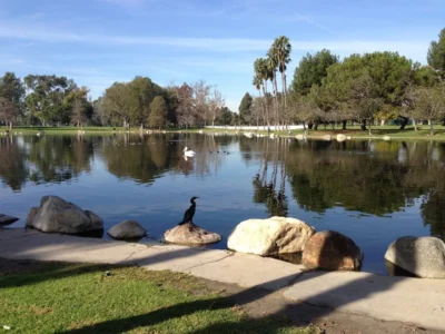 Security-Guard-Services-Fountain-Valley Security-Guard-Services-Fountain-Valley