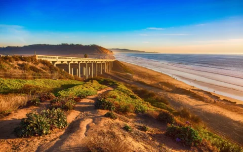 del mar del mar